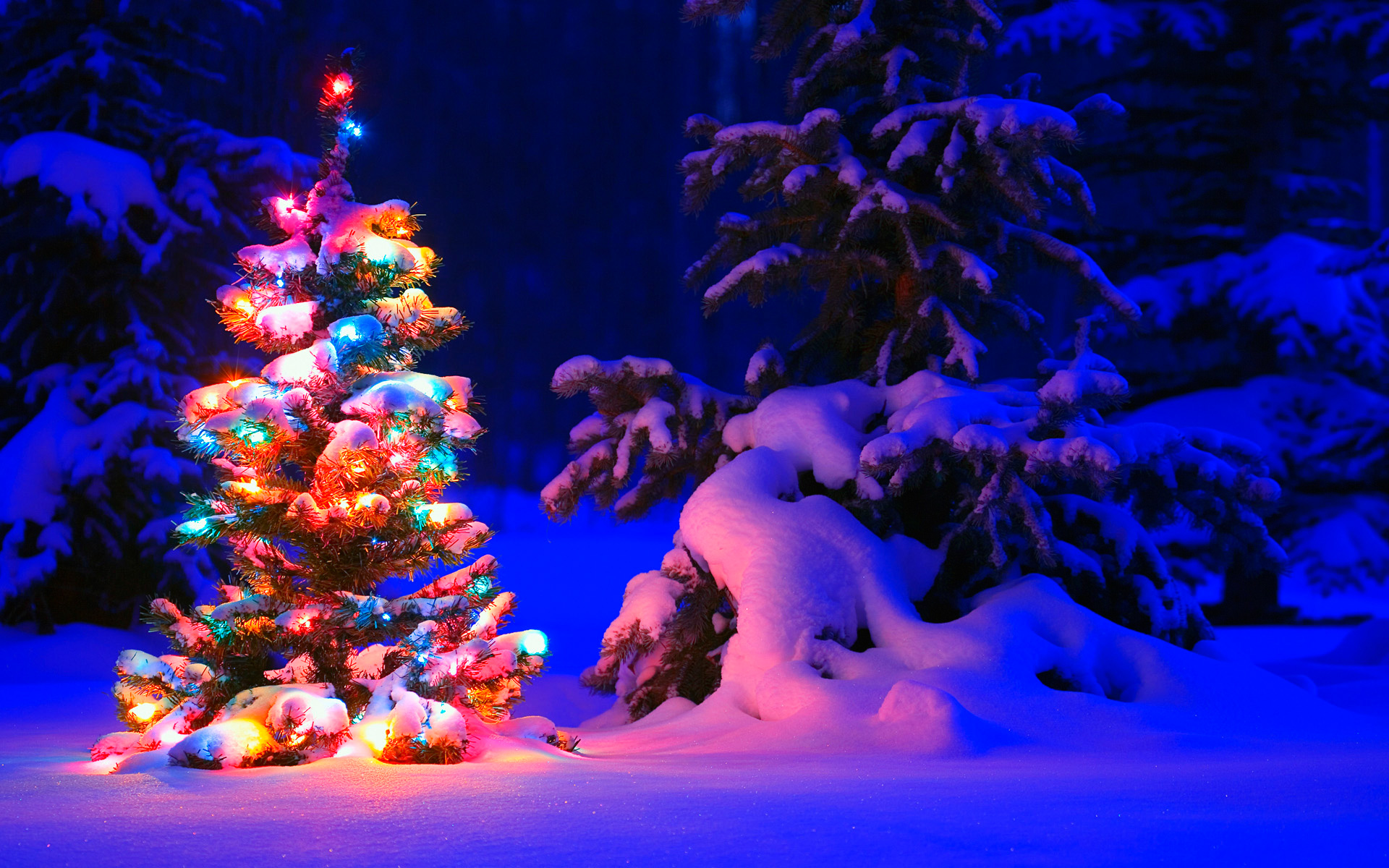 snowy_christmas_tree_lights-wide.jpg
