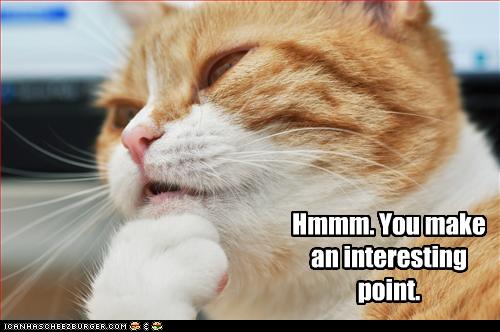 50536_funny-pictures-cat-likes-your-point.jpg