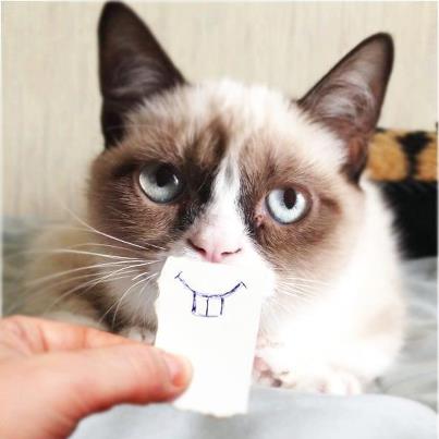 GrumpyCatIs-Finally-Happy-Very-Cute-Funny-Picture.jpg
