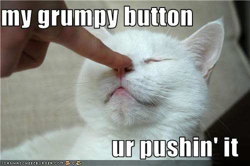 funny-pictures-cat-is-pushed-on-nose.jpg