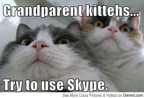 grandparent_kitteh_s_540.jpg